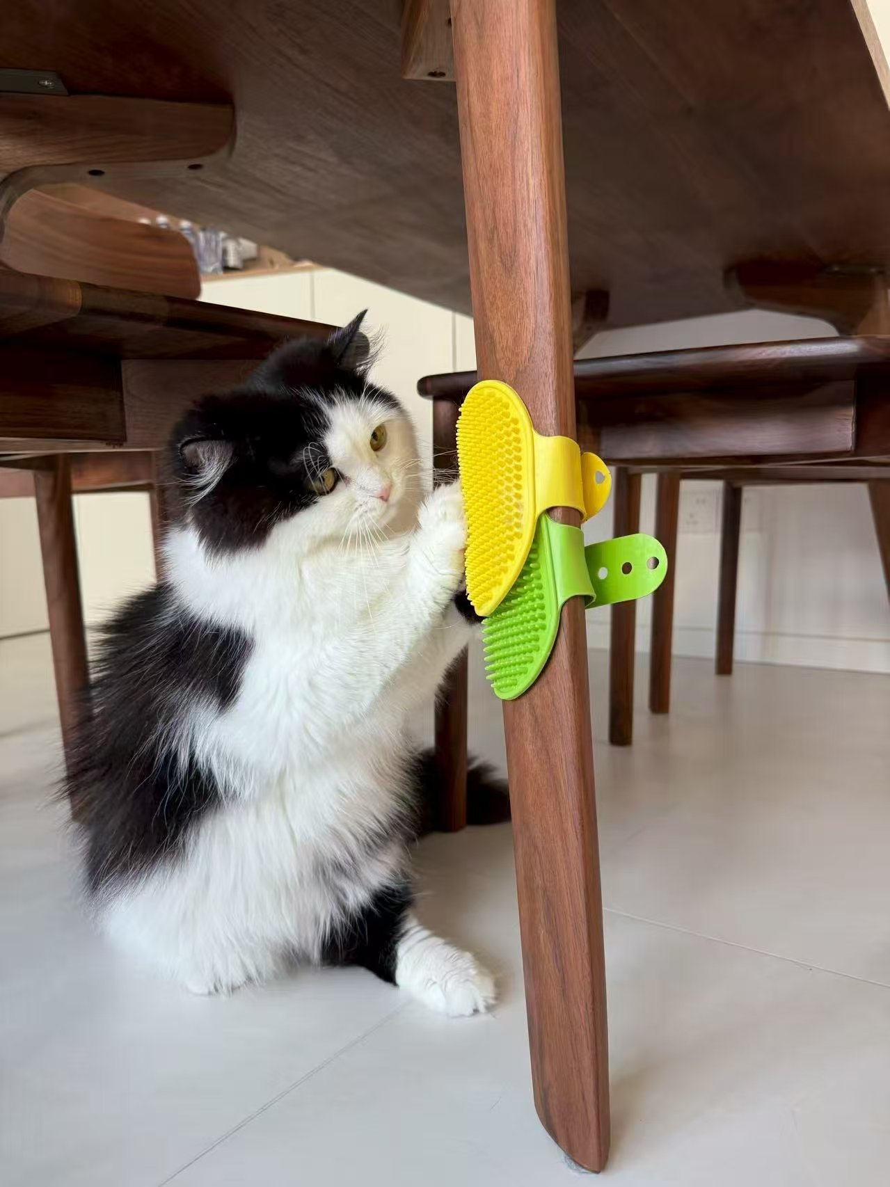 猫抓板战士 - 1